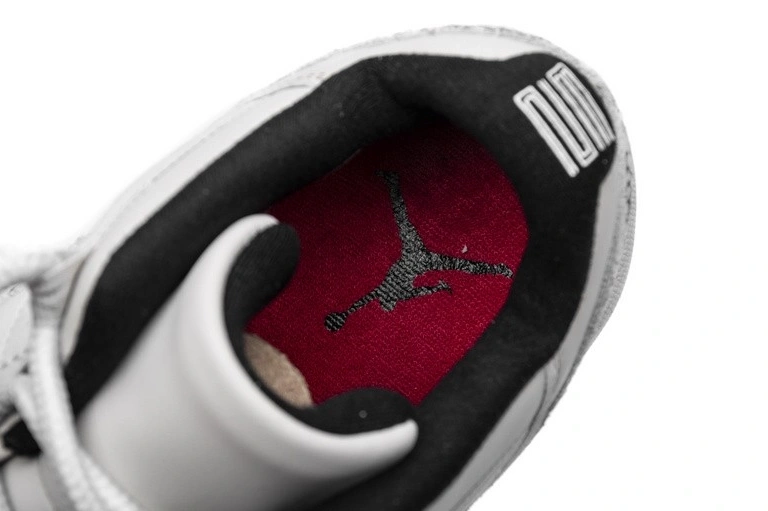 Jordan Bone Low Light 11 Retro  Snake CD6846-002 0414